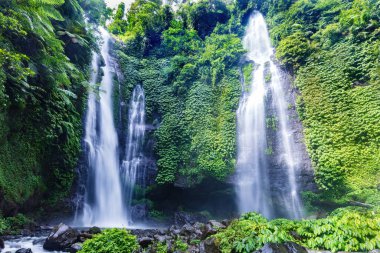 Kuzey Bali 'de üç şelale, Sekumpul şelalesi. Tropikal yağmur ormanlarından gelen yemyeşil bitki örtüsüyle çevrili uçurumlar.. 