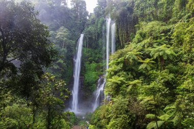 Kuzey Bali 'de üç şelale, Sekumpul şelalesi. Tropikal yağmur ormanlarından gelen yemyeşil bitki örtüsüyle çevrili uçurumlar.. 