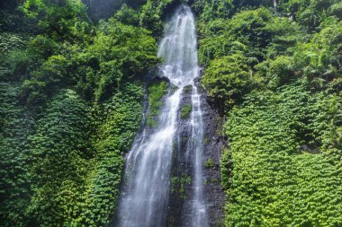 Kuzey Bali 'de Sekumpul şelalesi. Tropikal yağmur ormanlarından gelen yemyeşil bitki örtüsüyle çevrili uçurumlar.. 