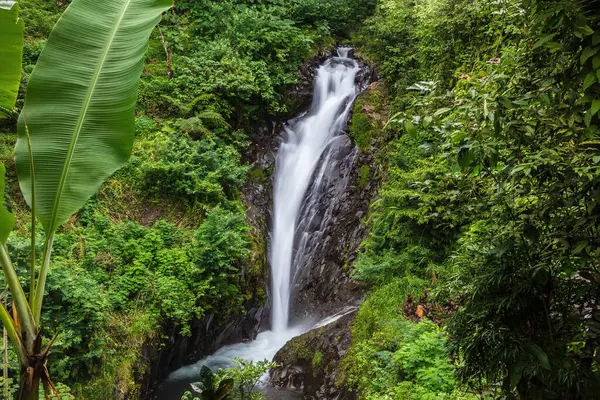 Kuzey Bali 'deki büyük Git ikiz şelalesinin yanındaki küçük şelale. Tropikal yağmur ormanlarının yemyeşil büyümesiyle çevrili. 