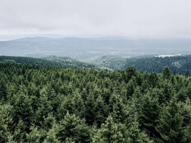 Duszniki-Zdroj, Zieleniec, Orlica gözcü kulesinden Kartal Dağlarının güzel bir manzarası, Sudetes