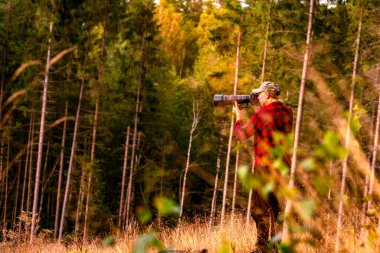 Telefoto lensli vahşi yaşam fotoğrafçısı ormandaki vahşi hayatın fotoğrafını çekiyor yaz günbatımında berrak, kırmızı gömlekli adam İsveç 'te bir yaz akşamında ormanda fotoğraf çekiyor.