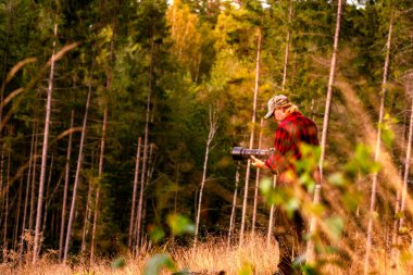 Ormanda uzun telefon mercekli profesyonel kameralı kırmızı gömlekli bir erkek. İsveç Ormanı 'nda yaz aylarında gün batımını temizleyen bir kaşif.