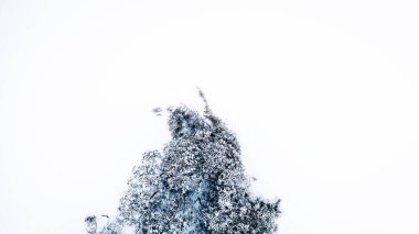 Karla kaplı donmuş göle uzanan ağaçlarla kaplı küçük bir yarımadayı gösteren havadan bir kış manzarası. Koyu yemyeşil ile beyaz kar arasındaki kontrastı..