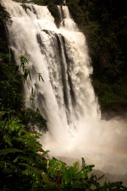 Şelale manzarası, Güney Laos 'taki güzel tropikal yağmur ormanı. Dikey bileşikteki doğa arkaplanı