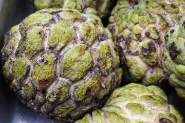 Olgun muhallebi elması ya da şeker elması, yeşil renk ve kahverengi renk, Makro kareyi kapat, seçici odak, Asya tropikal meyve kavramı