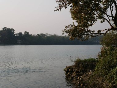 Nangal, Punjab 'daki Sutlej Nehri' nin sakin sularını ve yemyeşil sularını gösteren sakin bir nehir manzarası, doğa temalı projeler için mükemmel.