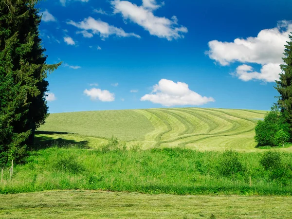 Landscape View Freshly Mowed Hilly Meadow Allgaeu Trees Sides Picture — Stock Photo, Image