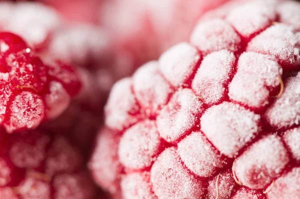 Donmuş ahududu stüdyosunun yakın plan çekimleri ve üzerlerinde bir tabaka don..