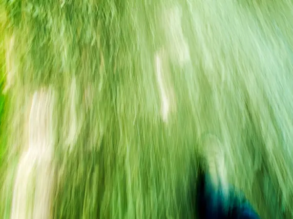 Verwischte Gräser Durch Langzeitbelichtung Bei Sommerlichem Spaziergang — Stockfoto
