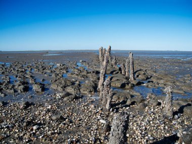 Aşağı Saksonya Wadden Denizi 'nin geniş açılı manzarası. Ufukta Doğu Frizya Adaları' nın seraplarıyla Neuharlingersiel yakınlarında aşınmış ahşap sütunlar var..