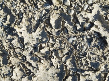 Kurumuş ve çatlamış bir zeminin en üst görüntüsü yan yana çakıl taşlarıyla.