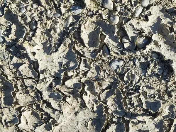 Kurumuş ve çatlamış bir zeminin en üst görüntüsü yan yana çakıl taşlarıyla.