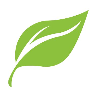 Feather Pen Leaf Logo Şablon Vektör Tasarımı.