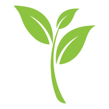 Yeşil yaprak logo vektör sembolü şablonu the Premium Vektör tasarımı.