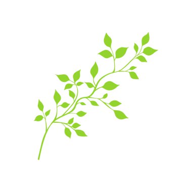 Yapraklı brunch bitkisel illüstrasyon (124- Premium Vektör).