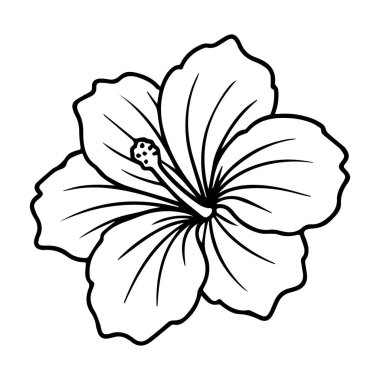 Siyah-beyaz bir çiçek, siyah-beyaz desenli the siyah-124; Premium yapay zeka tasarımı.