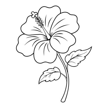 Siyah-beyaz bir çiçek, siyah-beyaz desenli the siyah-124; Premium yapay zeka tasarımı.