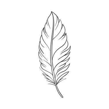 Çizgi Sanatı Yöntemi Tasarımında Zarif Tüy.