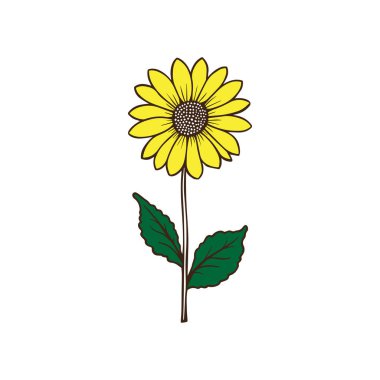 Yeşil yapraklı canlı ayçiçeği vektör tasarımı.