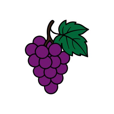 Yeşil Yaprak vektör tasarımlı Mor Üzüm Kümesi.