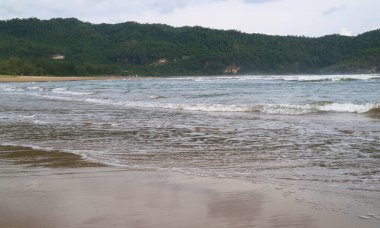 Kumsal, dalgalı ve yeşil tepeli. Sakin okyanus, bereketli doğa ve huzurlu manzara..