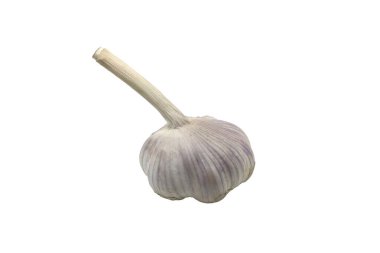 A single bulb of fresh garlic, isolated on a clean white background, showcasing its textured skin and long stem.