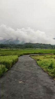 Ağacı ve dağı olan güzel bir manzara.