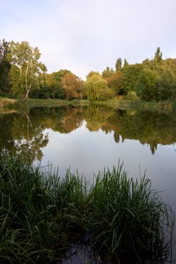 Huzurlu bir göl, canlı ağaçlar tarafından güzelce çerçevelenir. Durgun suların yüzeyine yansıyan gür yaprakları, Avrupa 'da günbatımında sakin bir sonbahar manzarası yaratır..