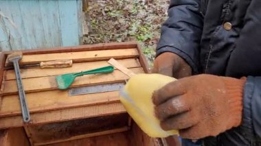 A beekeeper meticulously applying a specialized medication to a bag of bee food, preparing it for placement inside a wooden beehive among the honeycombs, while the protective equipment and tools rest nearby in the outdoor apiary.