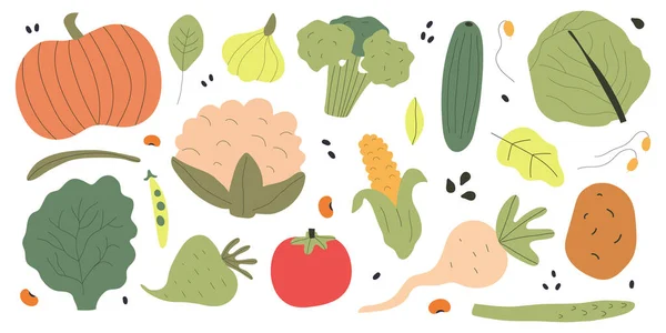 Концепция Здорового Питания Красочная Большая Коллекция Милыми Овощами Плоская Векторная — стоковый вектор