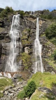İsviçre 'de yeşil ormanlarla çevrili kayalık kayalıklardan akan manzaralı şelale.
