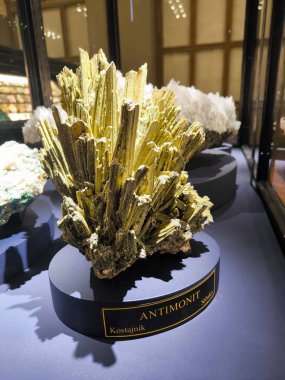 10.02.2025 National Museum Czech Republi