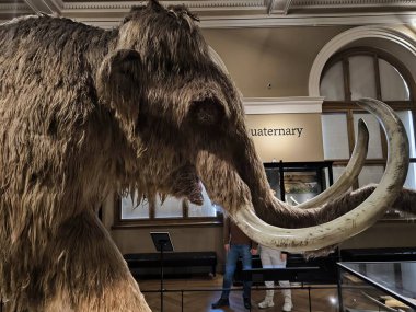 10.02.2025 National Museum Czech Republi