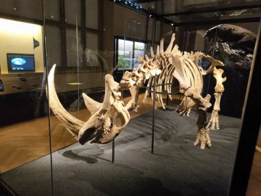 10.02.2025 National Museum Czech Republi