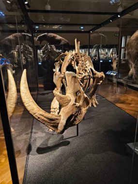 10.02.2025 National Museum Czech Republi