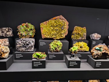 10.02.2025 National Museum Czech Republi