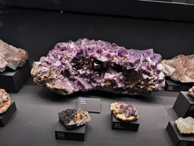 10.02.2025 National Museum Czech Republi