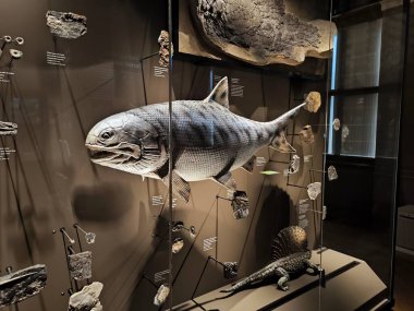 10.02.2025 National Museum Czech Republi