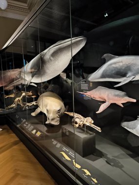 10.02.2025 National Museum Czech Republi