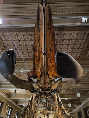 10.02.2025 National Museum Czech Republi