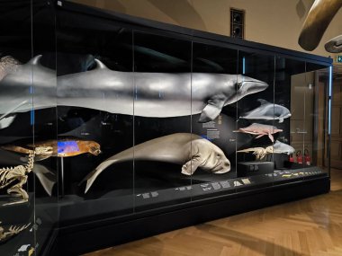 10.02.2025 National Museum Czech Republi