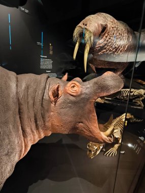 10.02.2025 National Museum Czech Republi