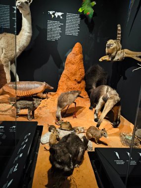 10.02.2025 National Museum Czech Republic