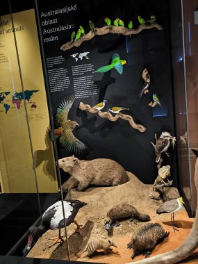 10.02.2025 National Museum Czech Republic