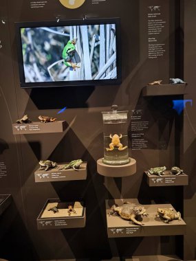 10.02.2025 National Museum Czech Republic