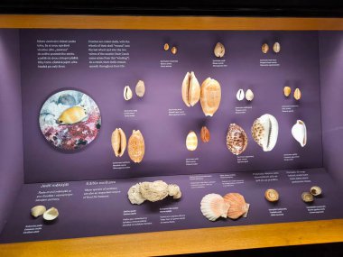 10.02.2025 National Museum Czech Republic