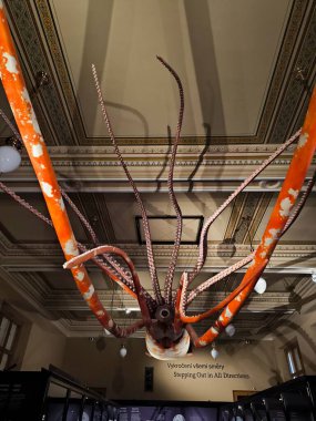 10.02.2025 National Museum Czech Republic