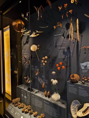 10.02.2025 National Museum Czech Republic