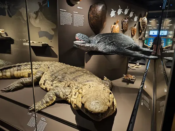 10.02.2025 National Museum Czech Republic